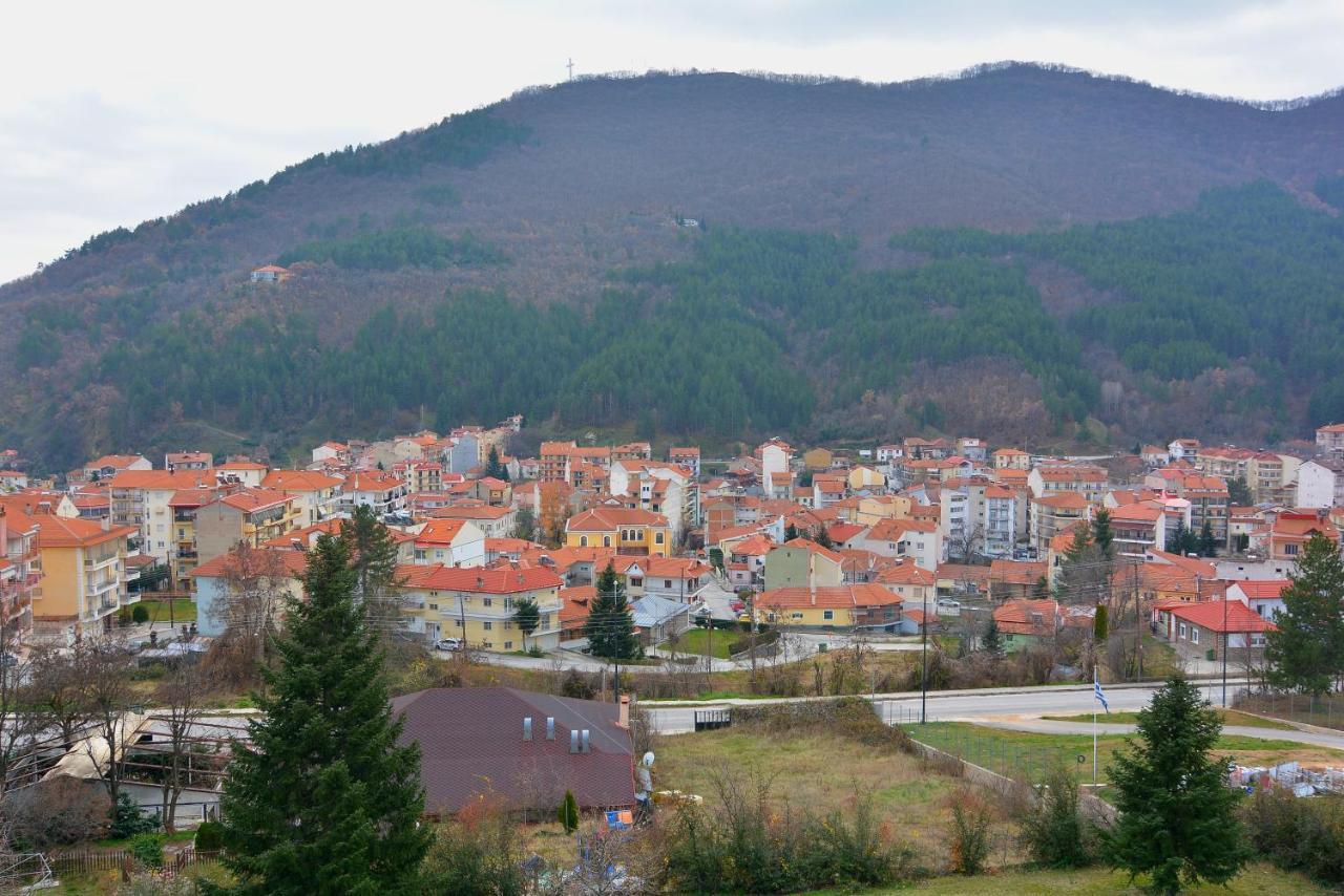 King Alexander Hotel Florina Luaran gambar